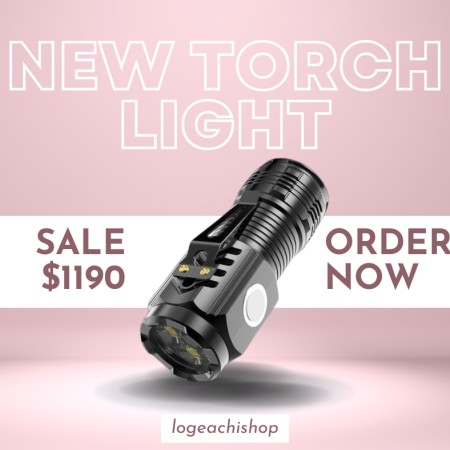 Small led torch light